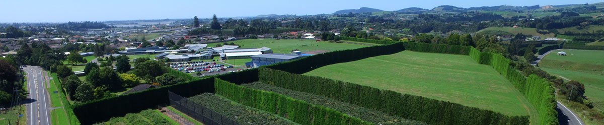 St. Thomas Estate